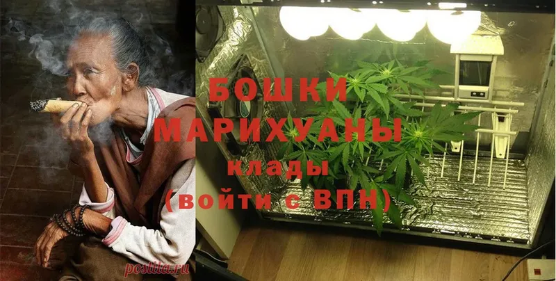 Бошки Шишки White Widow  дарнет шоп  Ржев 